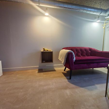Apartamento Le Cocon Troglodyte Saint-Étienne-de-Chigny Exterior foto