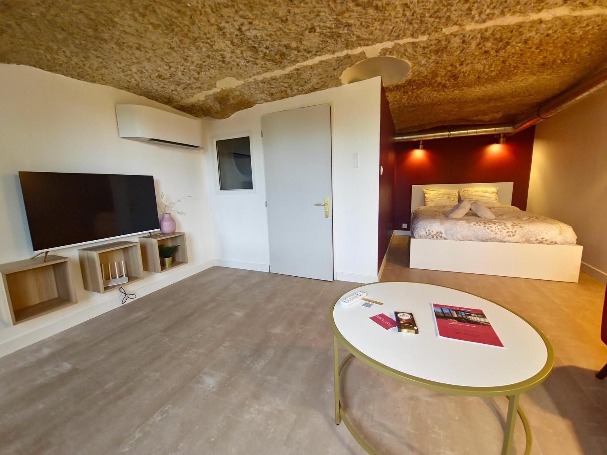 Apartamento Le Cocon Troglodyte Saint-Étienne-de-Chigny Exterior foto