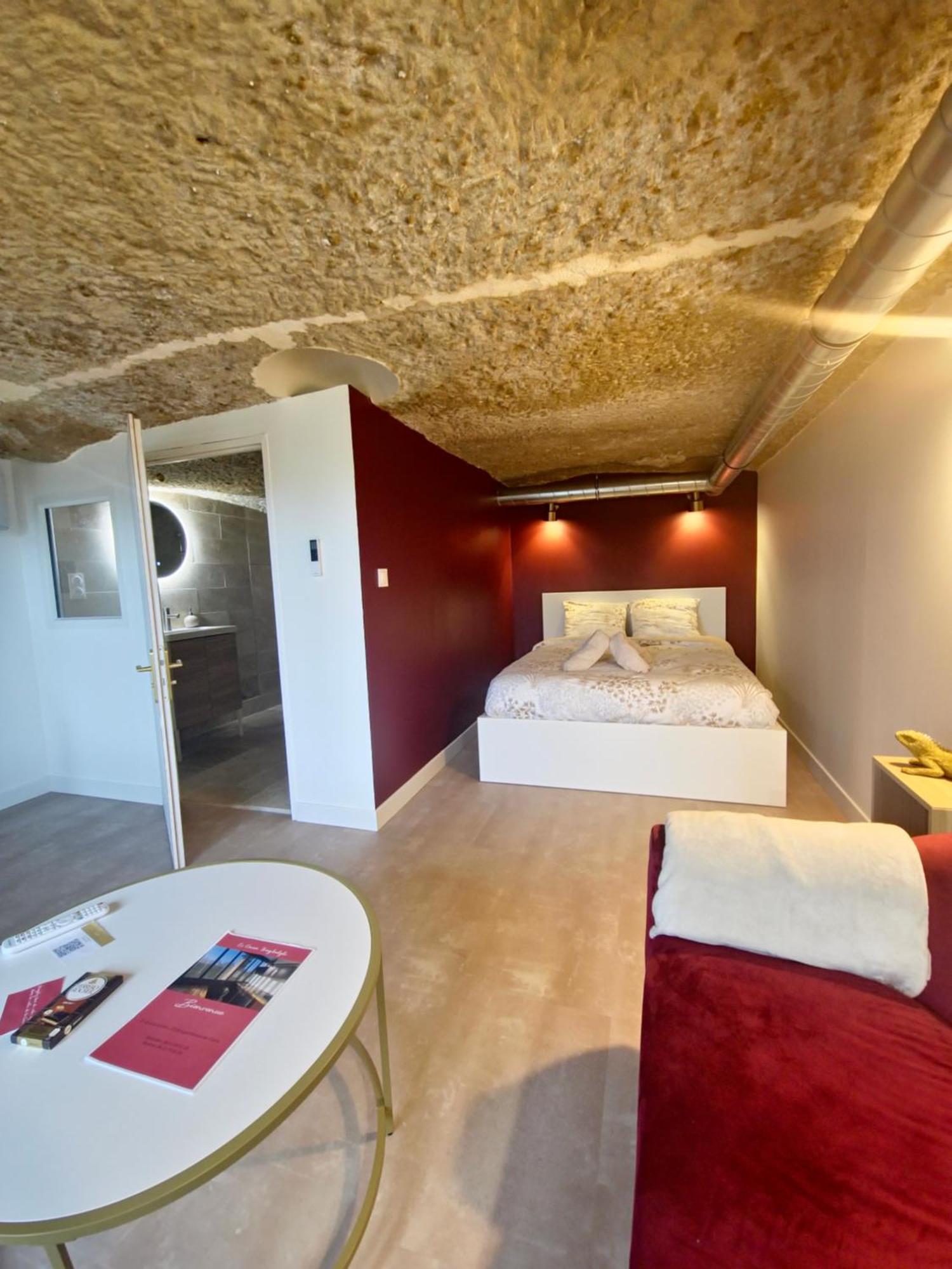 Apartamento Le Cocon Troglodyte Saint-Étienne-de-Chigny Exterior foto
